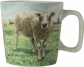 Minimok Schaap Wiebe van der Zee